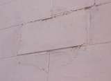 Photo of wall